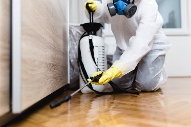 Best Wildlife Control Services  in Kingsland, GA
