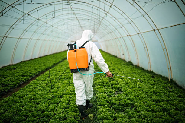 Best Residential Pest Control  in Kingsland, GA