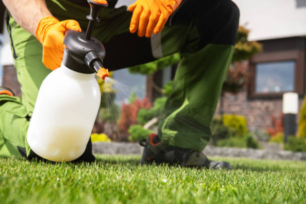 Best Local Pest Control Services  in Kingsland, GA