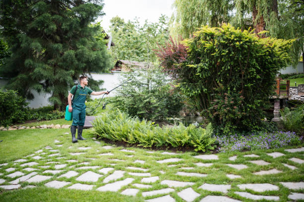 Best Mosquito Control Services  in Kingsland, GA