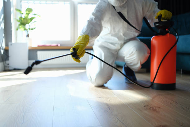 Best Pest Prevention Services  in Kingsland, GA
