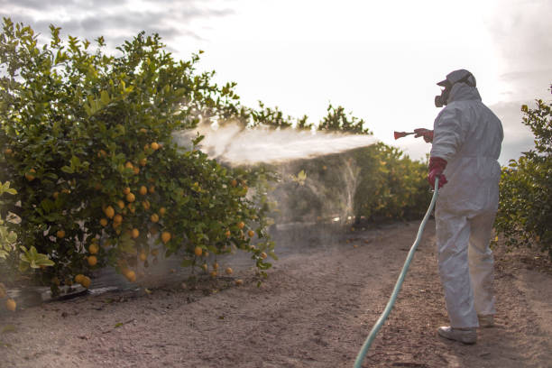 Pest Control Cost in Kingsland, GA