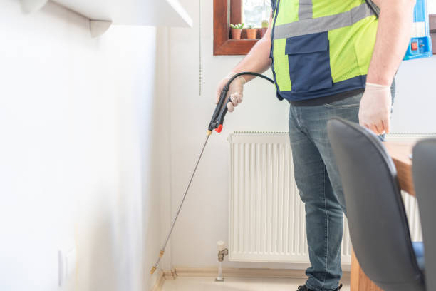 Best Rat Extermination Near Me  in Kingsland, GA