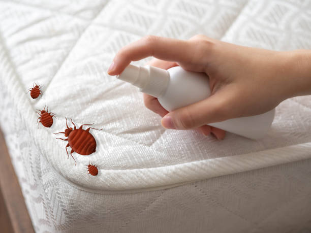 Kingsland, GA Pest Control Company
