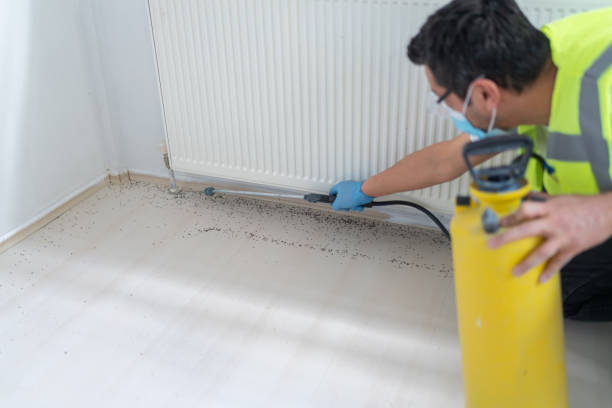 Best Best Pest Control Near Me  in Kingsland, GA